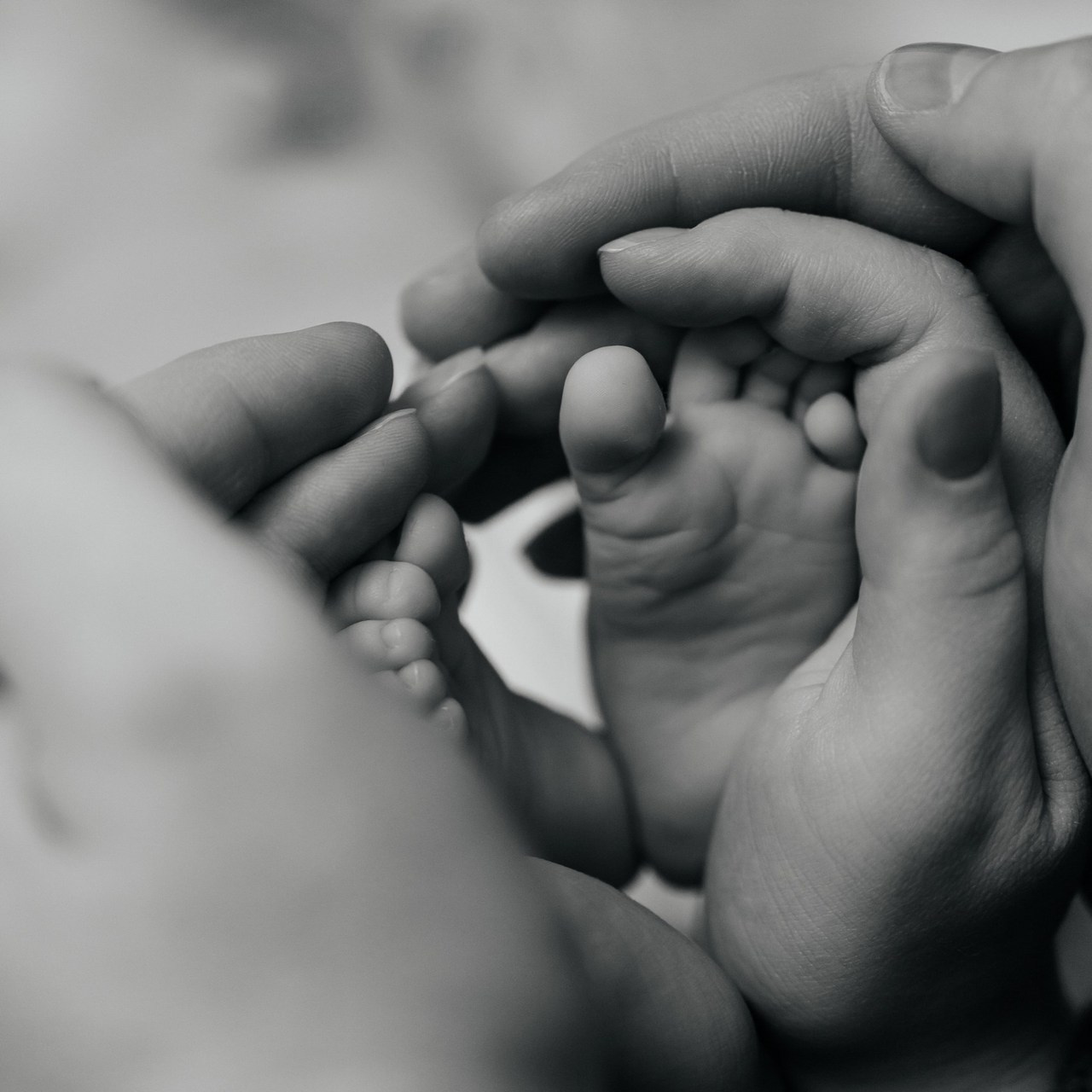 Отзывы. Фотограф в Петропавловске-Камчатском (Камчатка) Алевская Алина