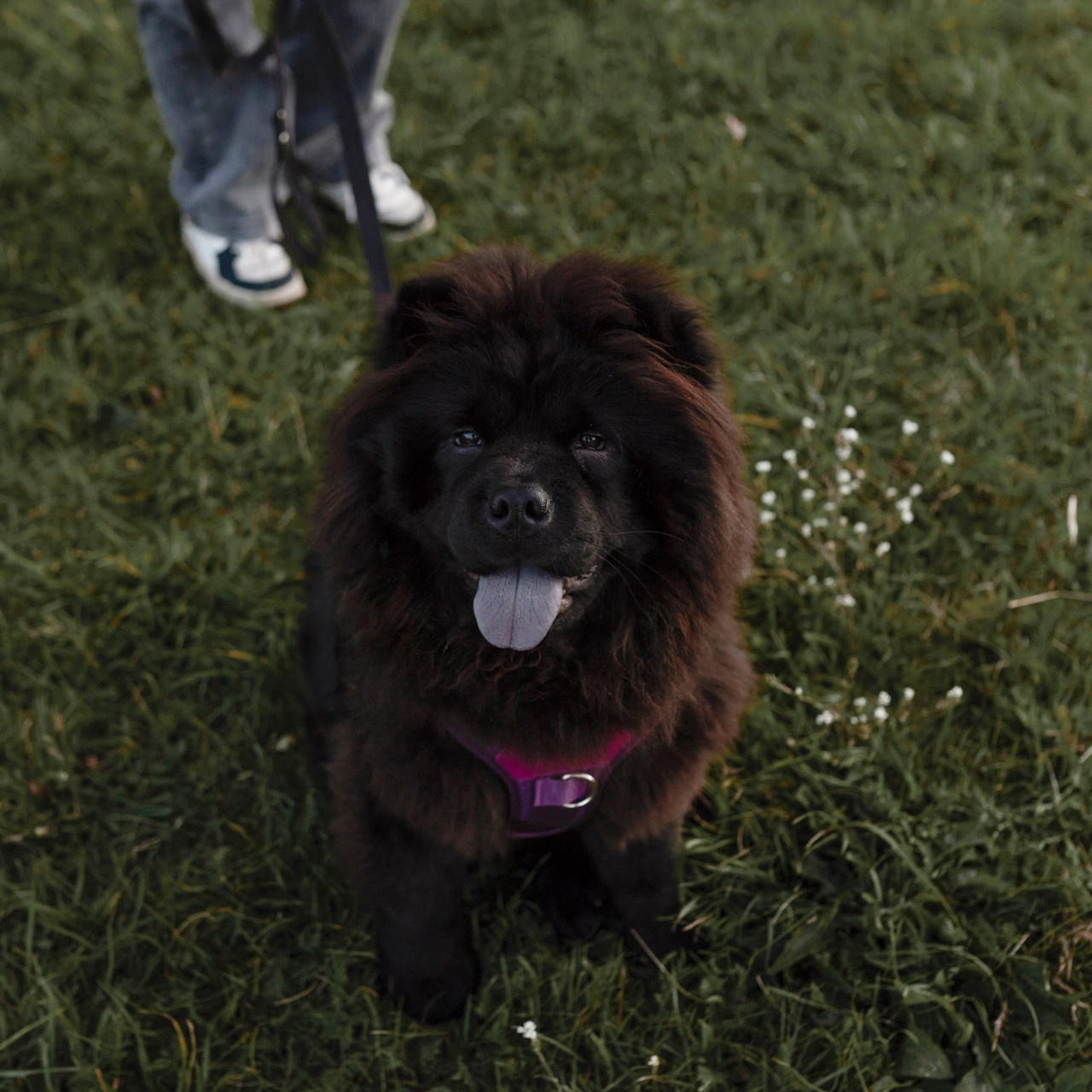 Отзывы. Анастасия Шкуднова — свадебный и женский фотограф в Брянске