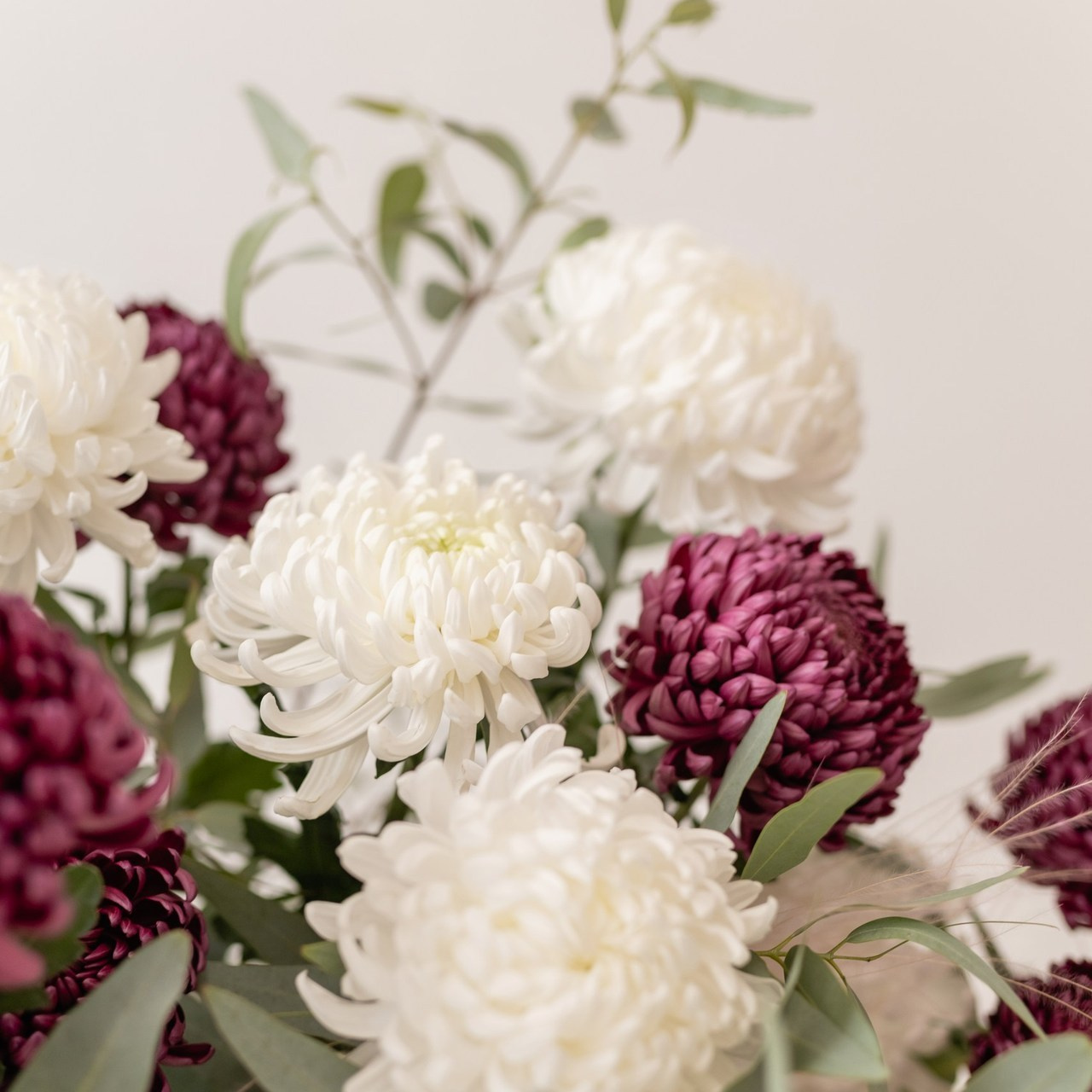 Отзывы. Семейный фотограф в Каневской Епифанова Ольга