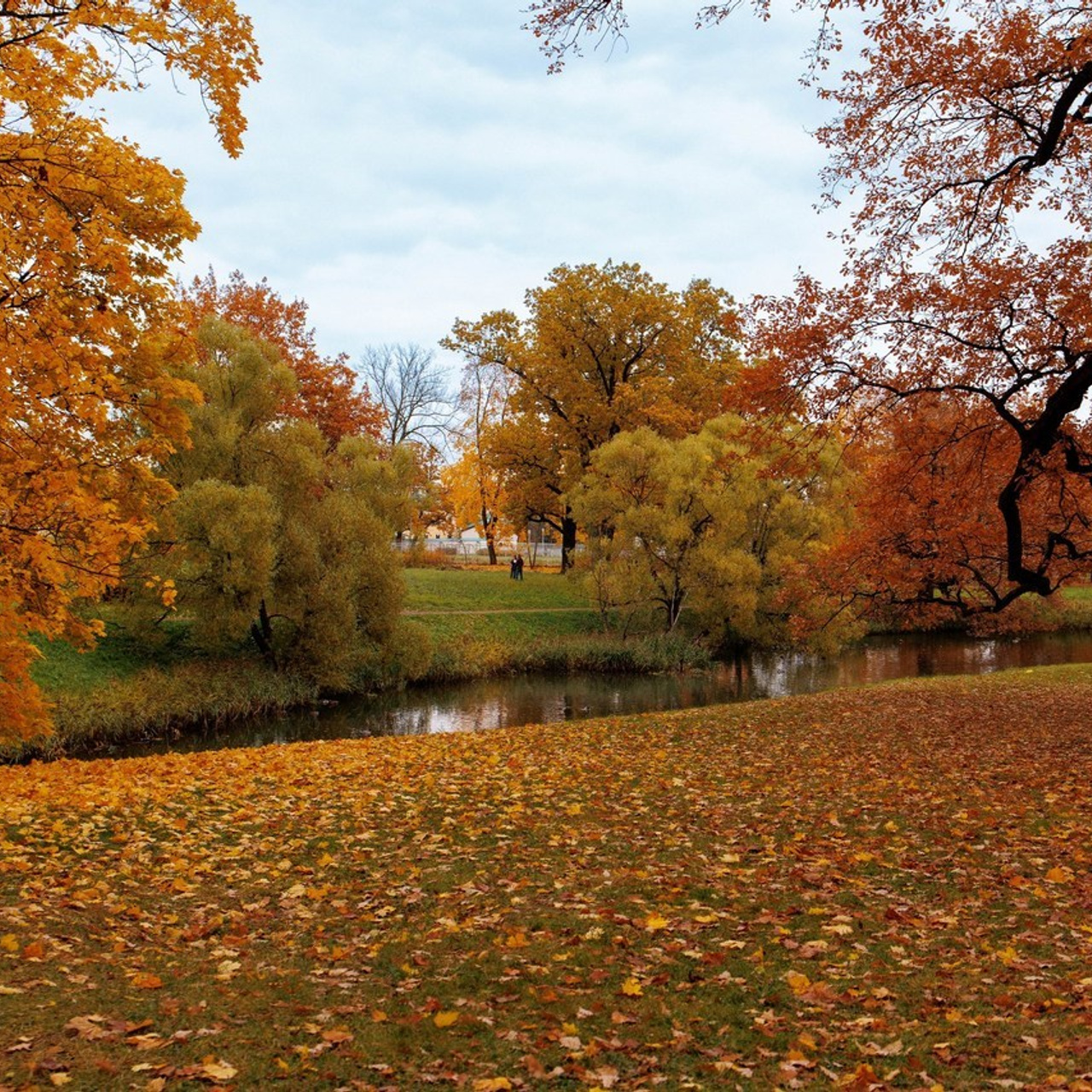 Отзывы. Женский и семейный фотограф в Санкт-Петербурге Лидия Лиженина
