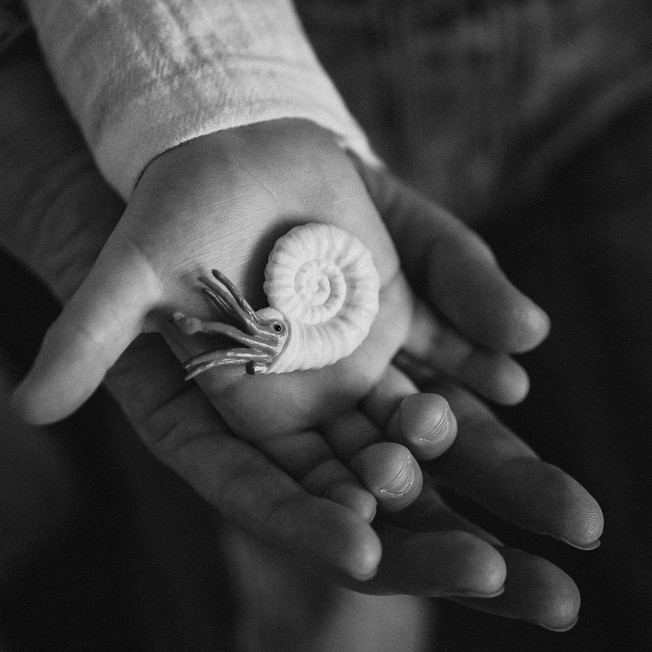 Отзывы. Женский, семейный и детский фотограф Москва Черешнева Злата