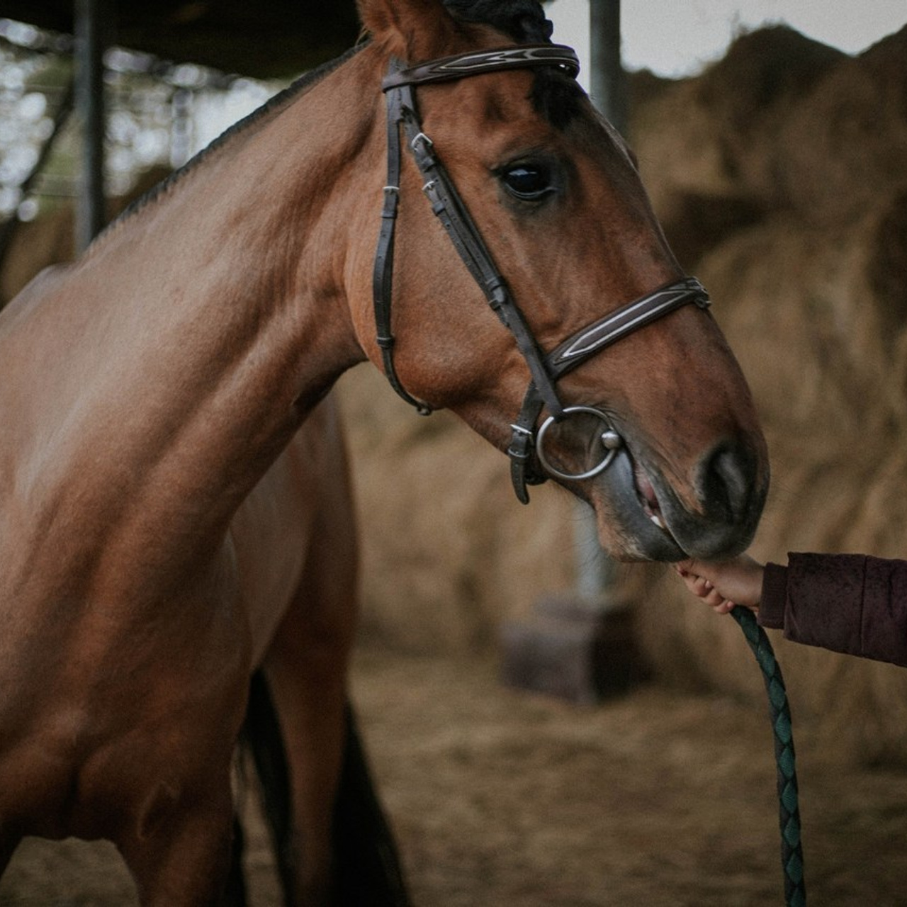 Отзывы. Фотограф Косинова Алёна