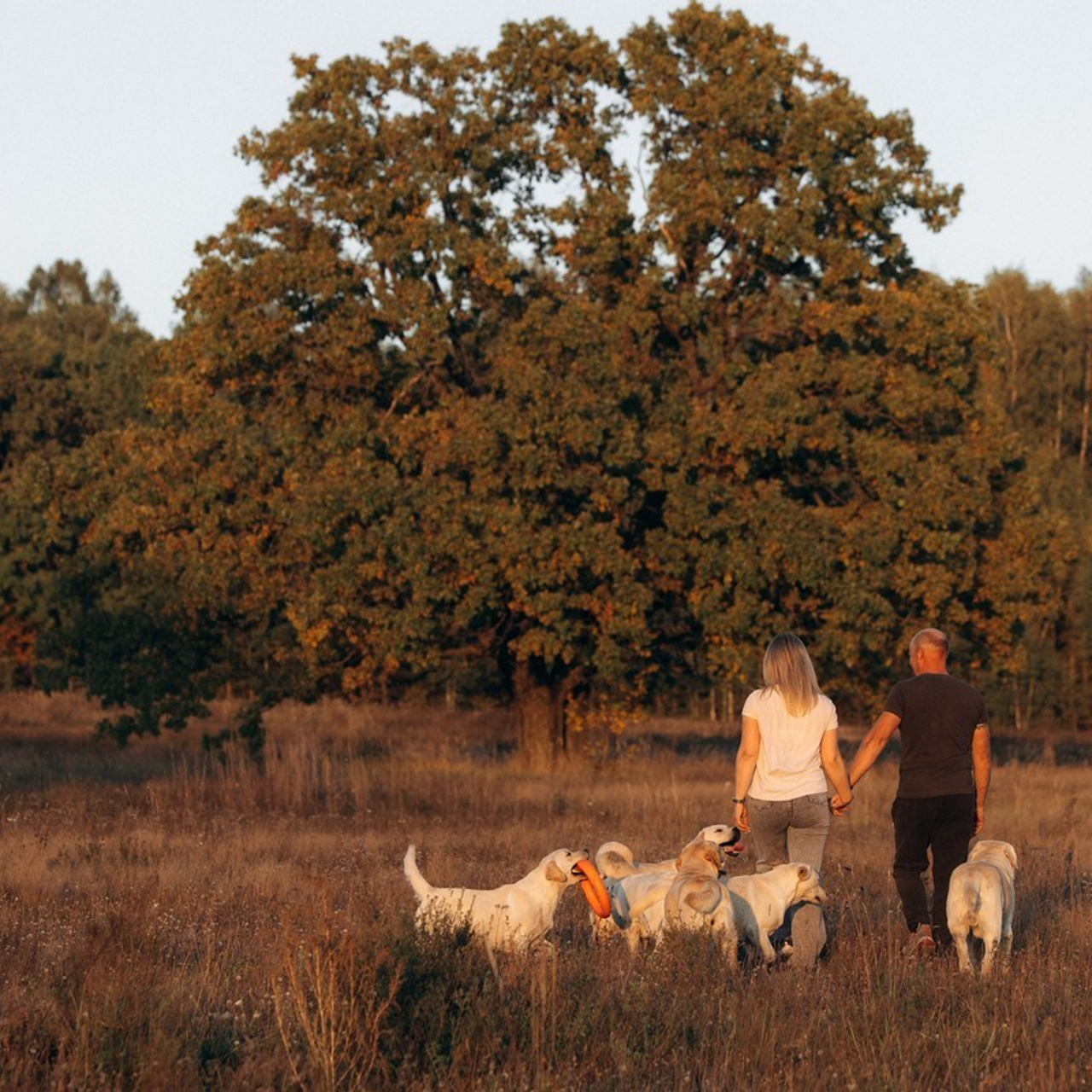 Отзывы. Фотограф анималист в Казани Алина Сулейманова. Фотограф животных
