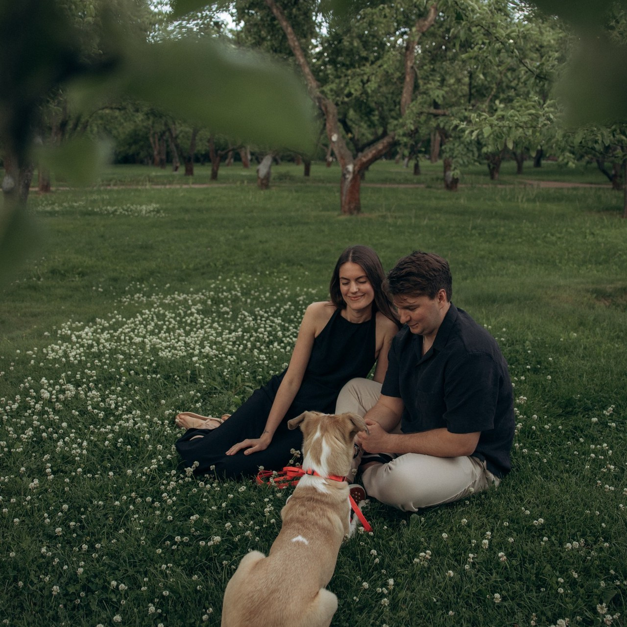 Отзывы. Фотограф анималист в Казани Алина Сулейманова. Фотограф животных