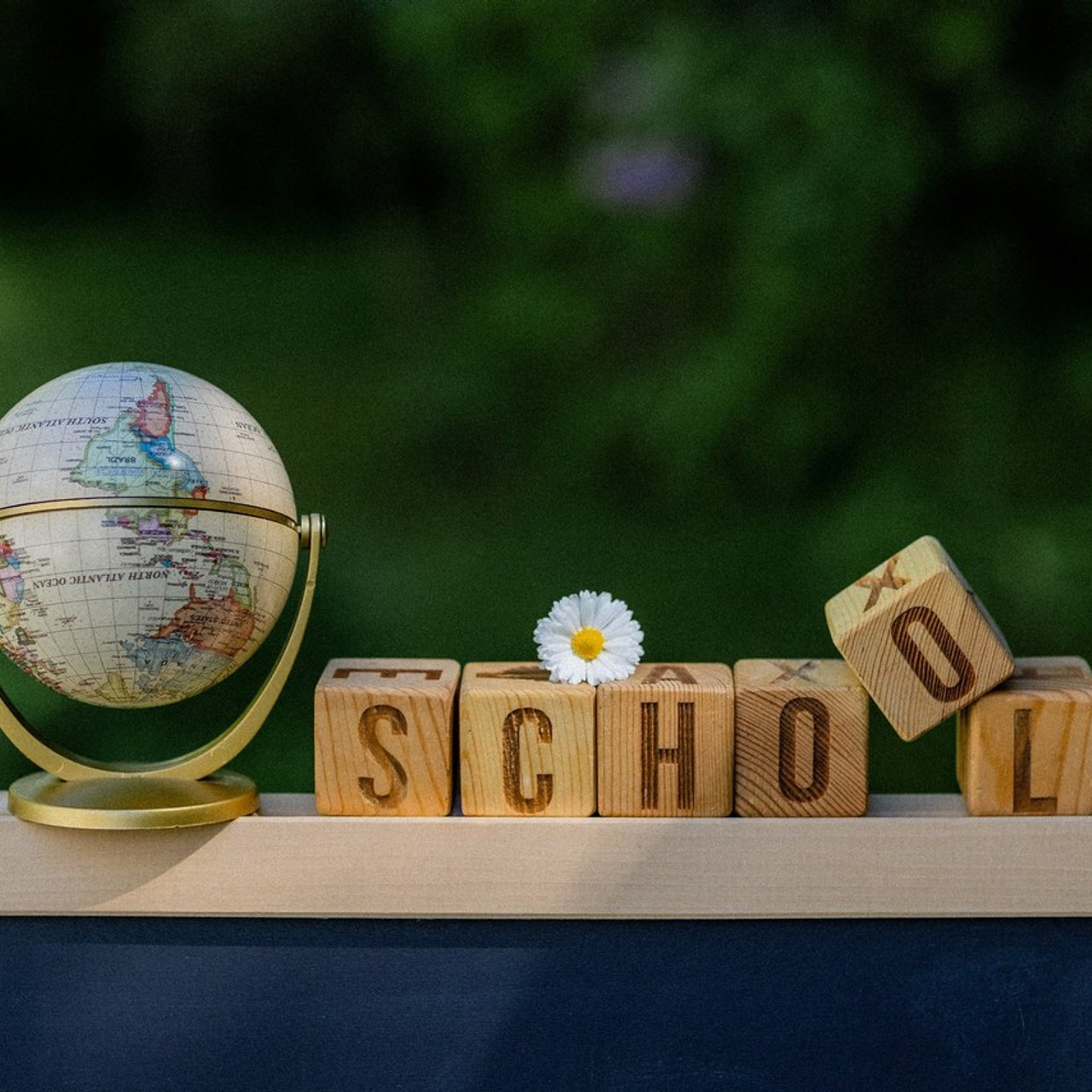 Отзывы. Выпускные альбомы в Зеленограде, Москве и МО