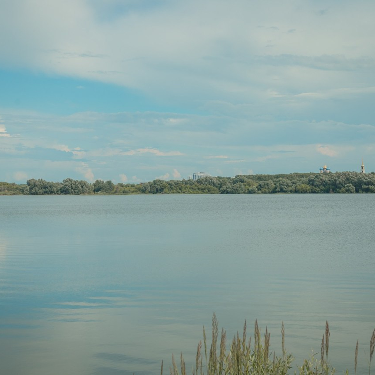 Отзывы. Фотограф Лилия Ремизова, Рязань