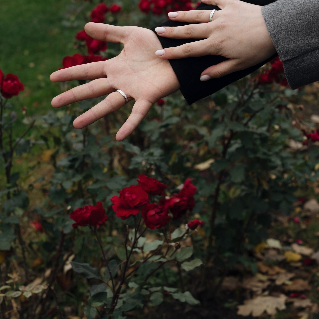 Отзывы. Свадебный фотограф в Петербурге Таша Вайб