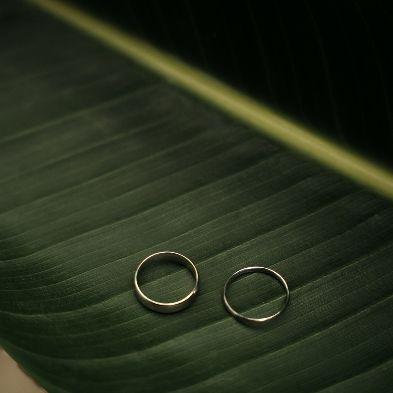 Отзывы. Свадебный фотограф в Петербурге Таша Вайб