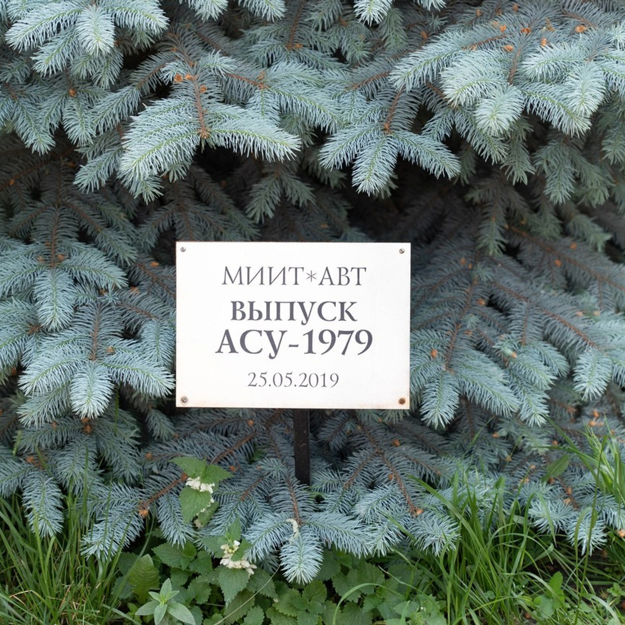 Отзывы. Свадебный и семейный фотограф г. Москва
