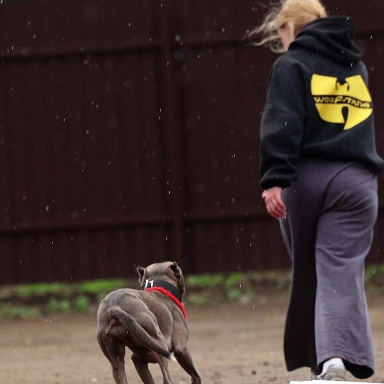 Отзывы. Фотограф-анималист в Москве Евгения Старостина