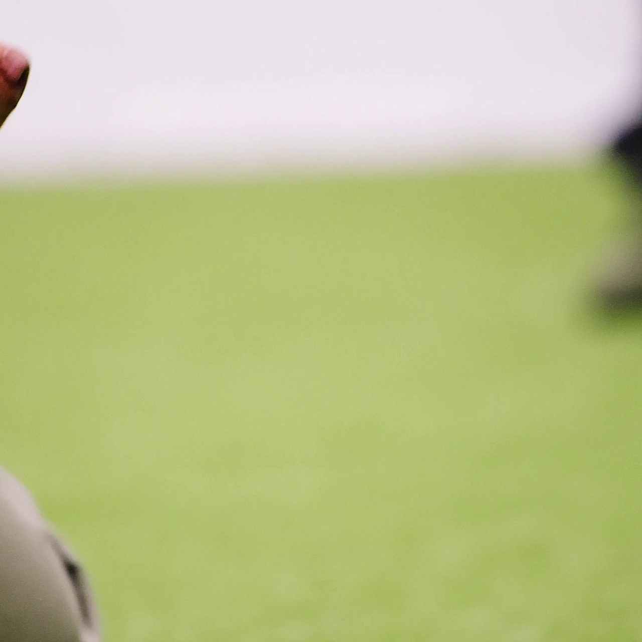 Отзывы. Фотограф-анималист в Москве Евгения Старостина