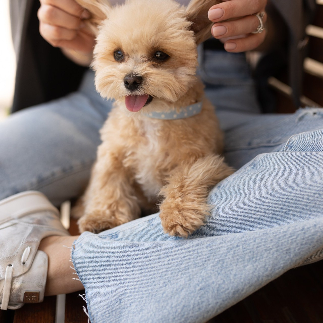Отзывы. Индивидуальные и свадебные фотосессии | Донецк, Москва, Ростов-на-Дону