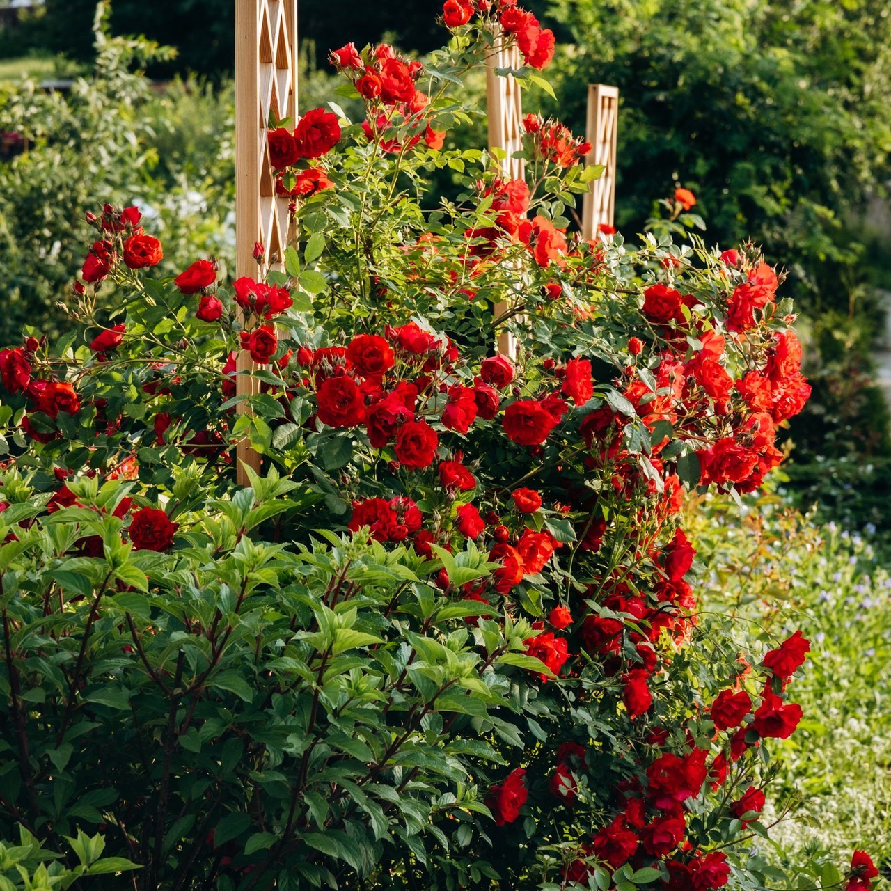 Отзывы. Фотограф Екатеринбург, Арамиль Антон Чупин