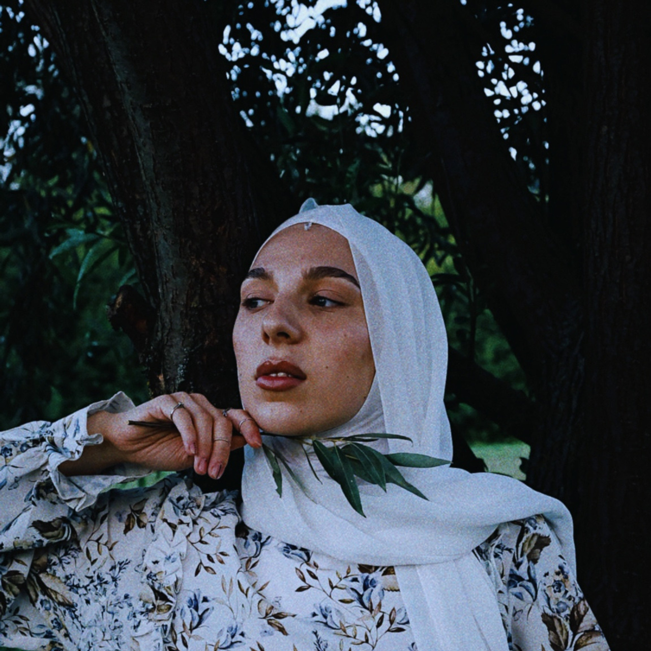 Liza. Главная