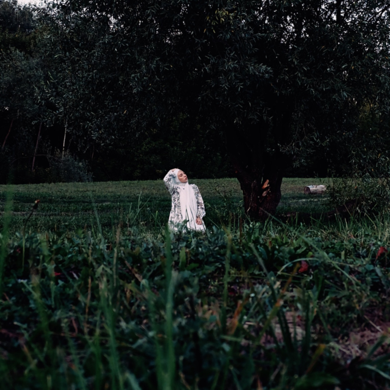 Liza. Главная