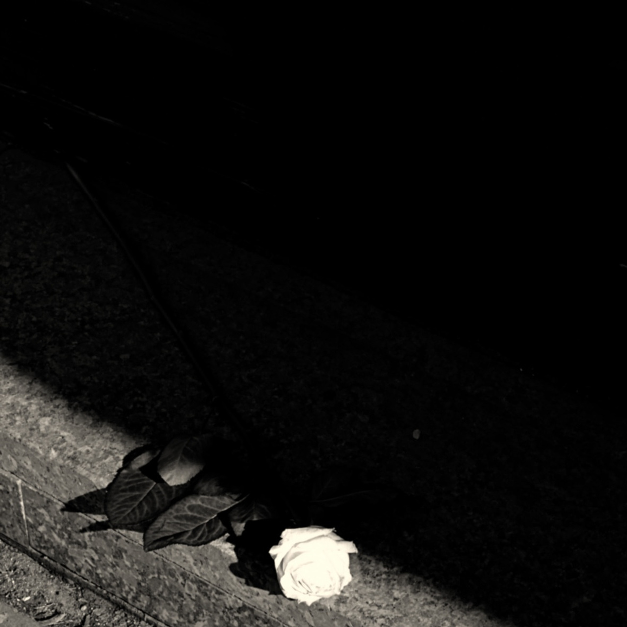 Ilsiyar. Главная