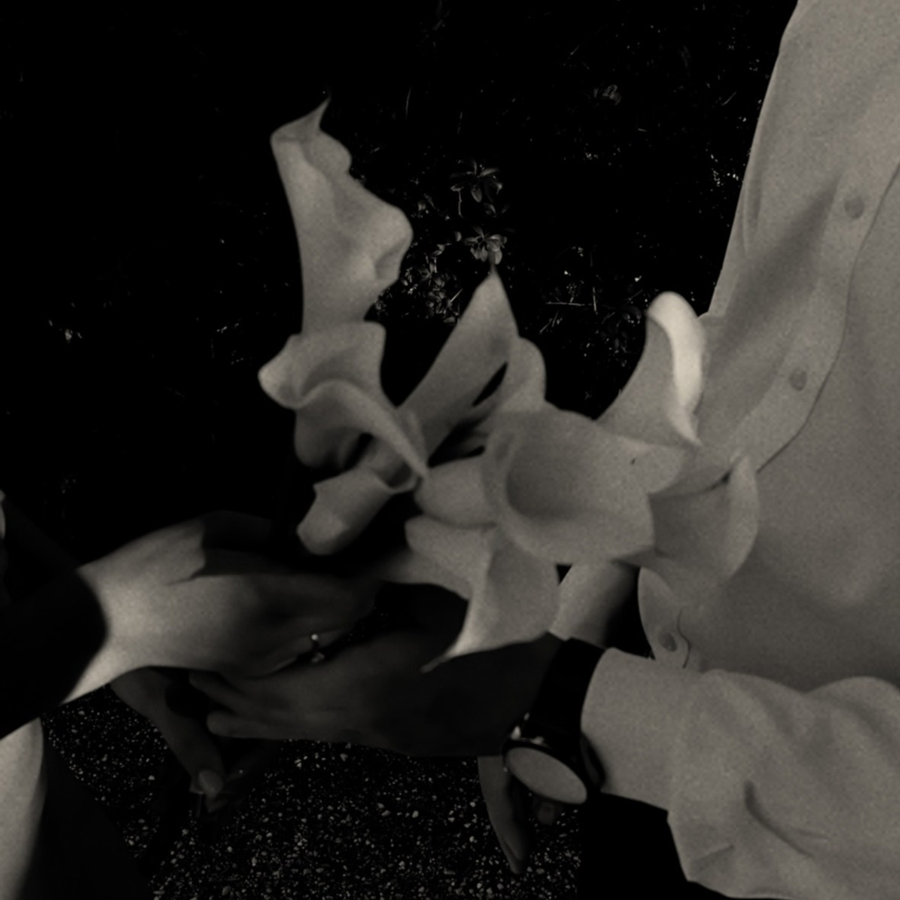 Мария и Максим. Главная