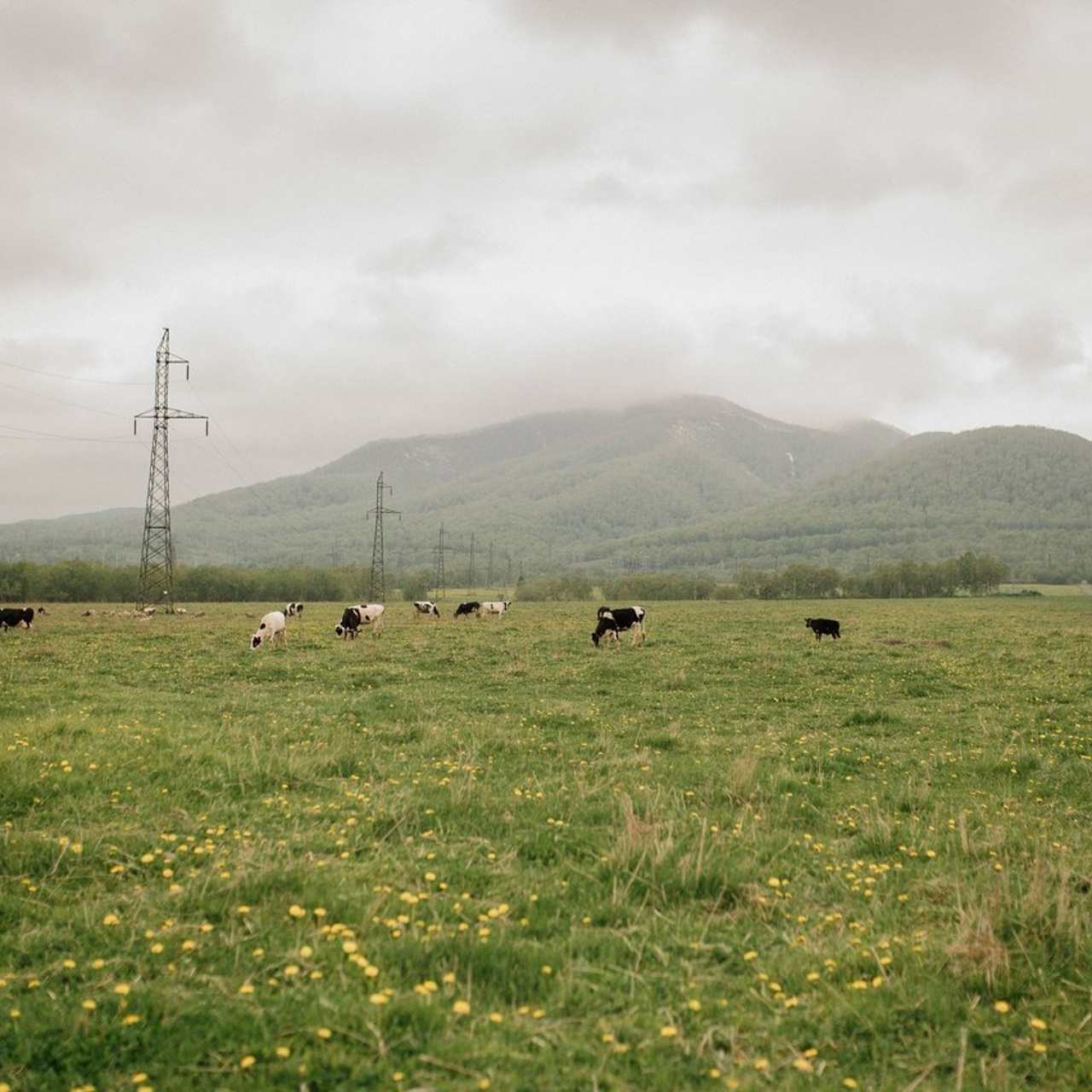 Отзывы. Свадебный и семейный фотограф Камчатка. Фотограф Камчатка