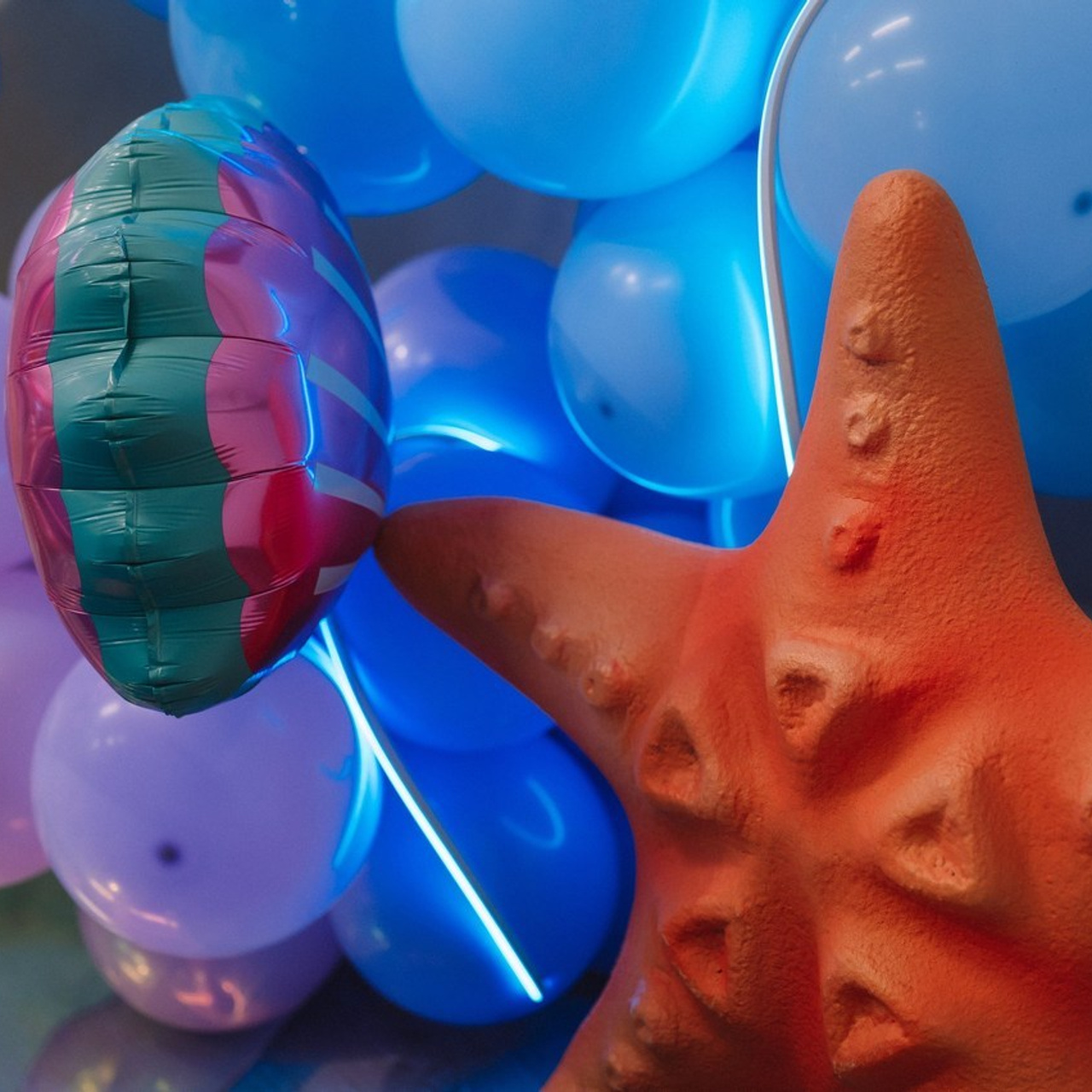 Отзывы. Фотограф в Петрозаводске