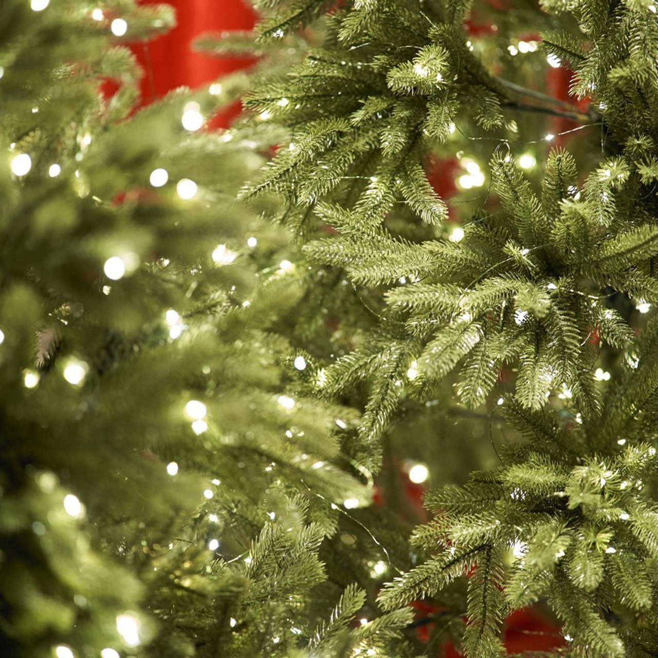 Отзывы. Музыка Иван — Фотограф Екатеринбург