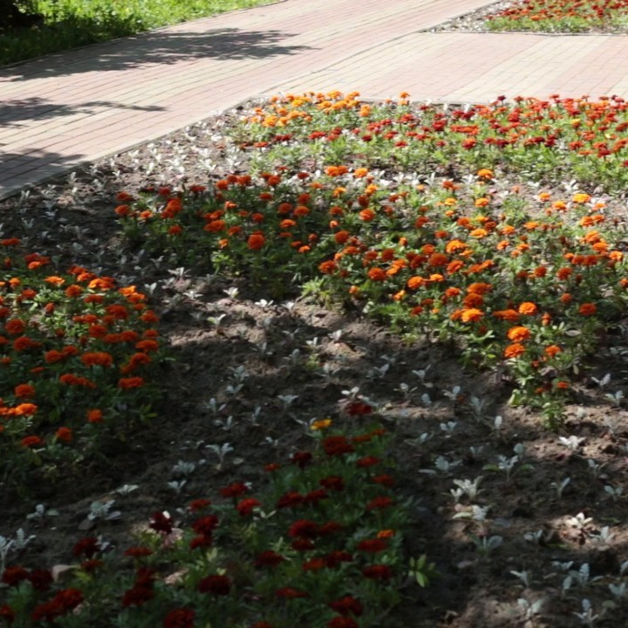 Отзывы. ФОТО РЕЖИССЕР