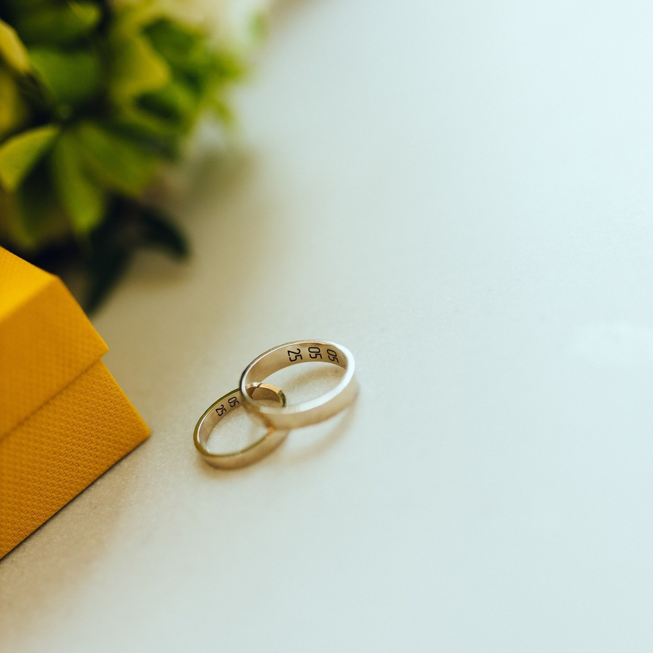 Фотограф отзывы. Свадебный фотограф Мария Железняк в Москве