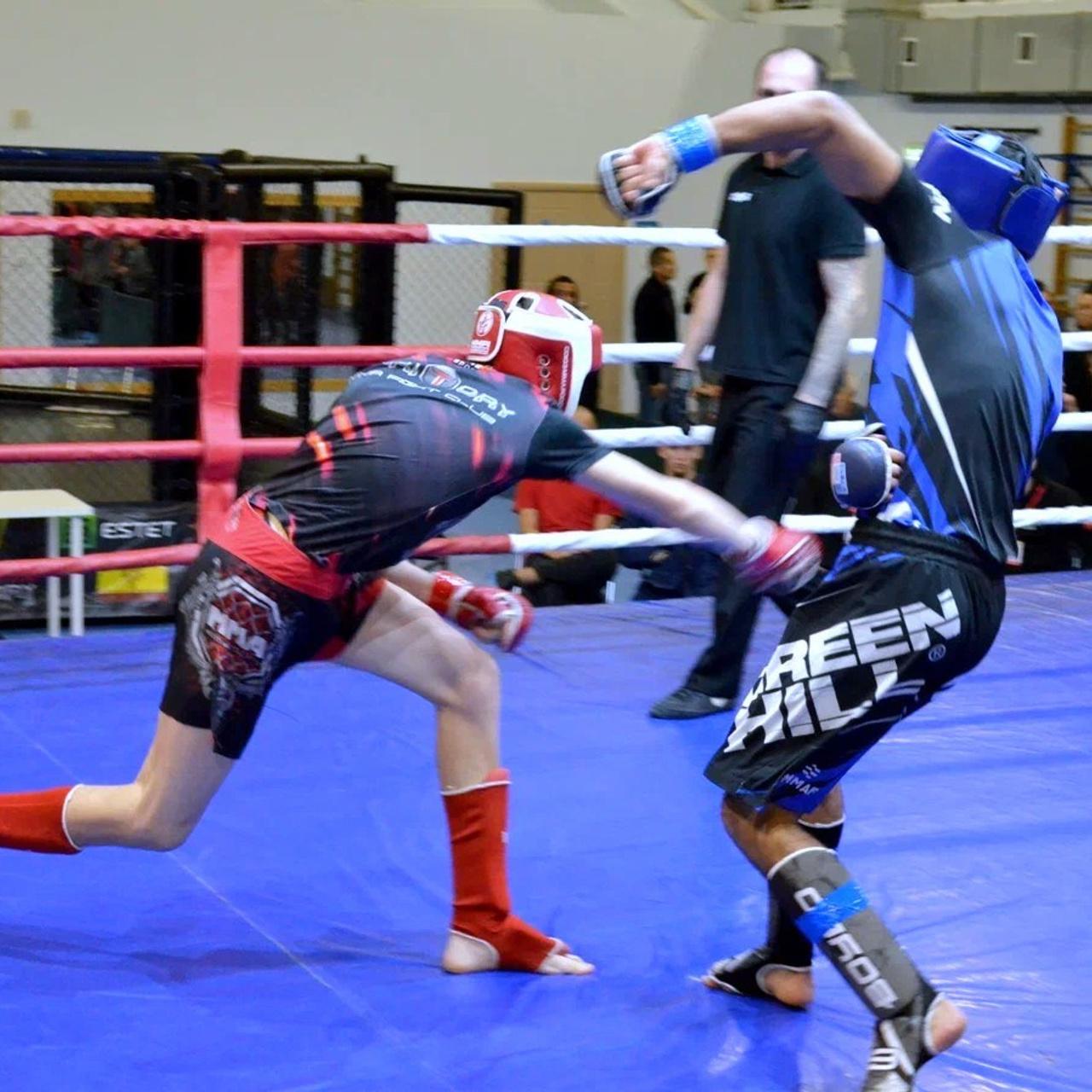 Первенство Чувашии и Кубок Чувашской Республики по MMA