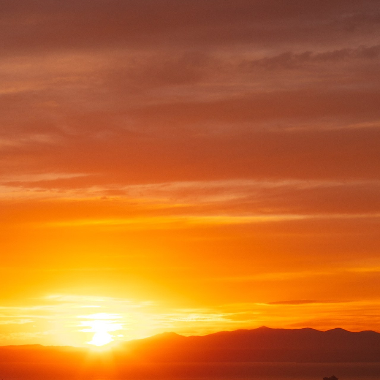 Отзывы. Life style фотограф Нади Тронец во Владивостоке