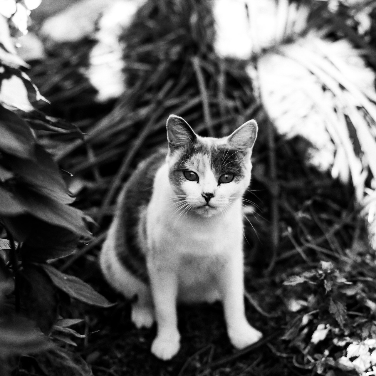 Отзывы. Life style фотограф Нади Тронец во Владивостоке