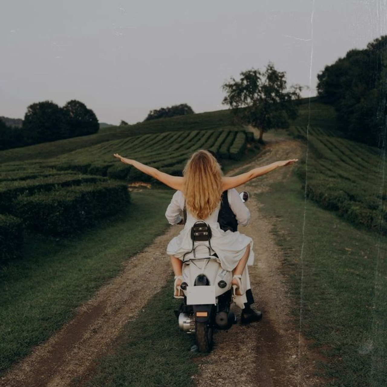 Идеи для свадьбы. Свадебный и семейный фотограф в Миллерово и Ростове Алёна Черепенина