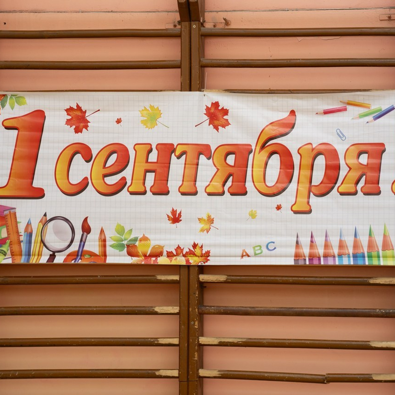 Отзывы. Семейный, школьный фотограф в Нижнем Новгороде Елена Сентюрева