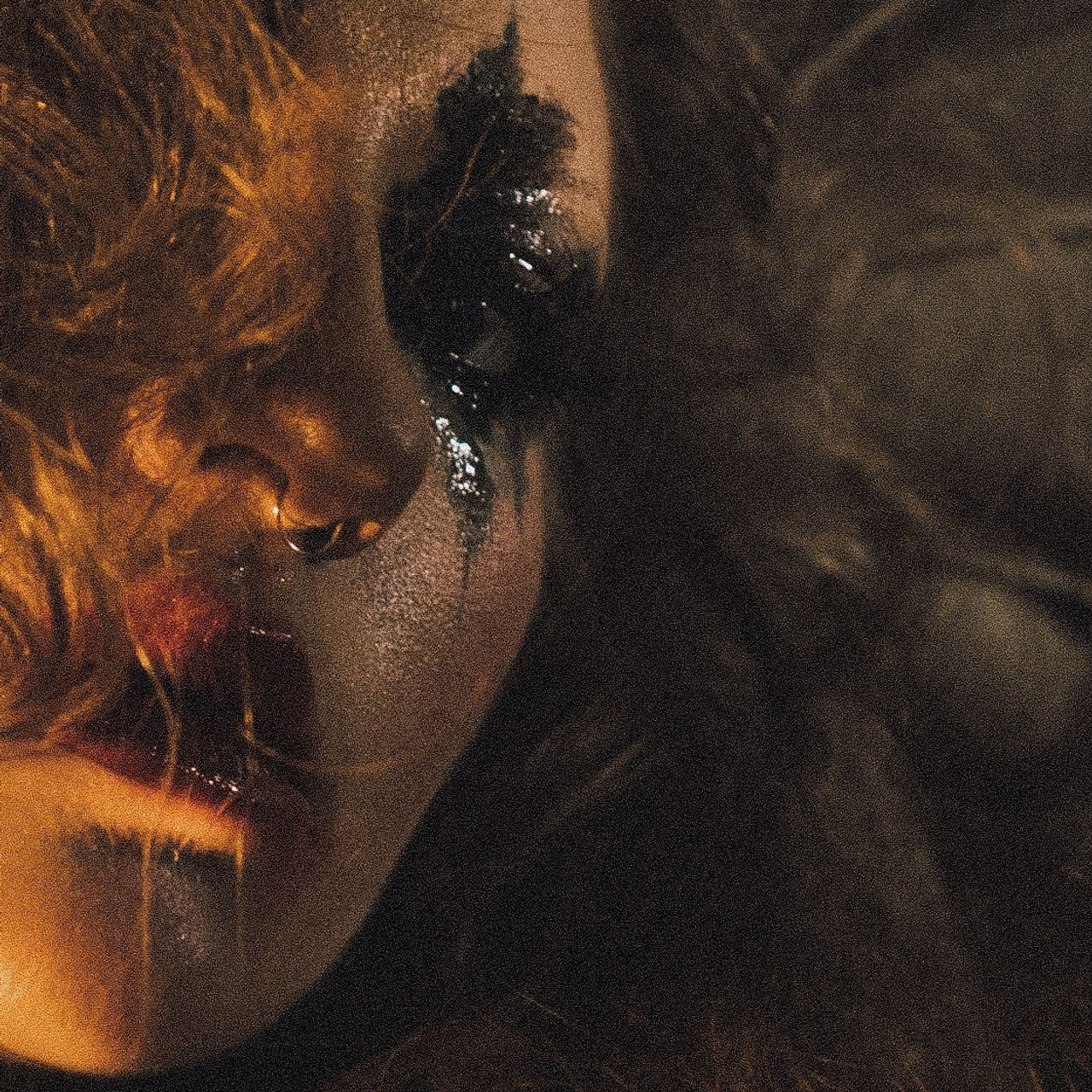 Лоскутная бабочка