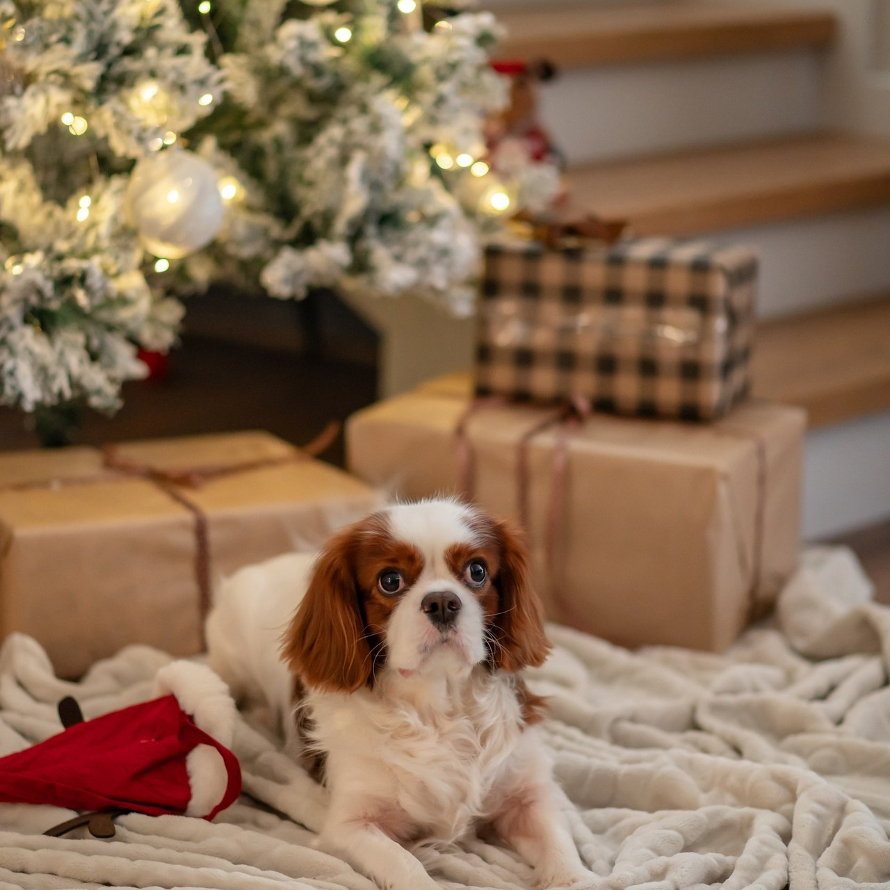 Отзывы. Фотограф в Тамбове Светлана Федорова