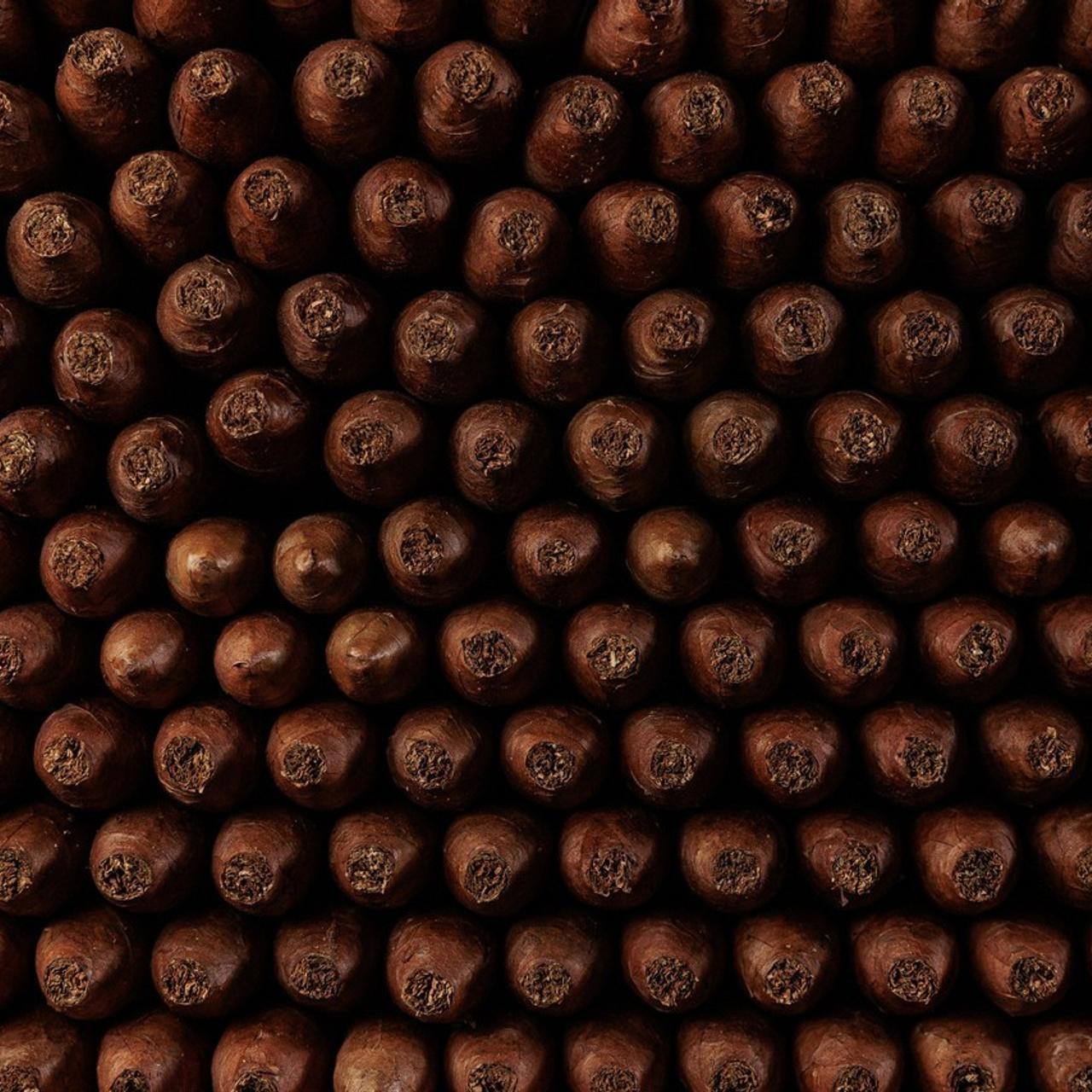 Отзывы. Фотограф Ольга Че