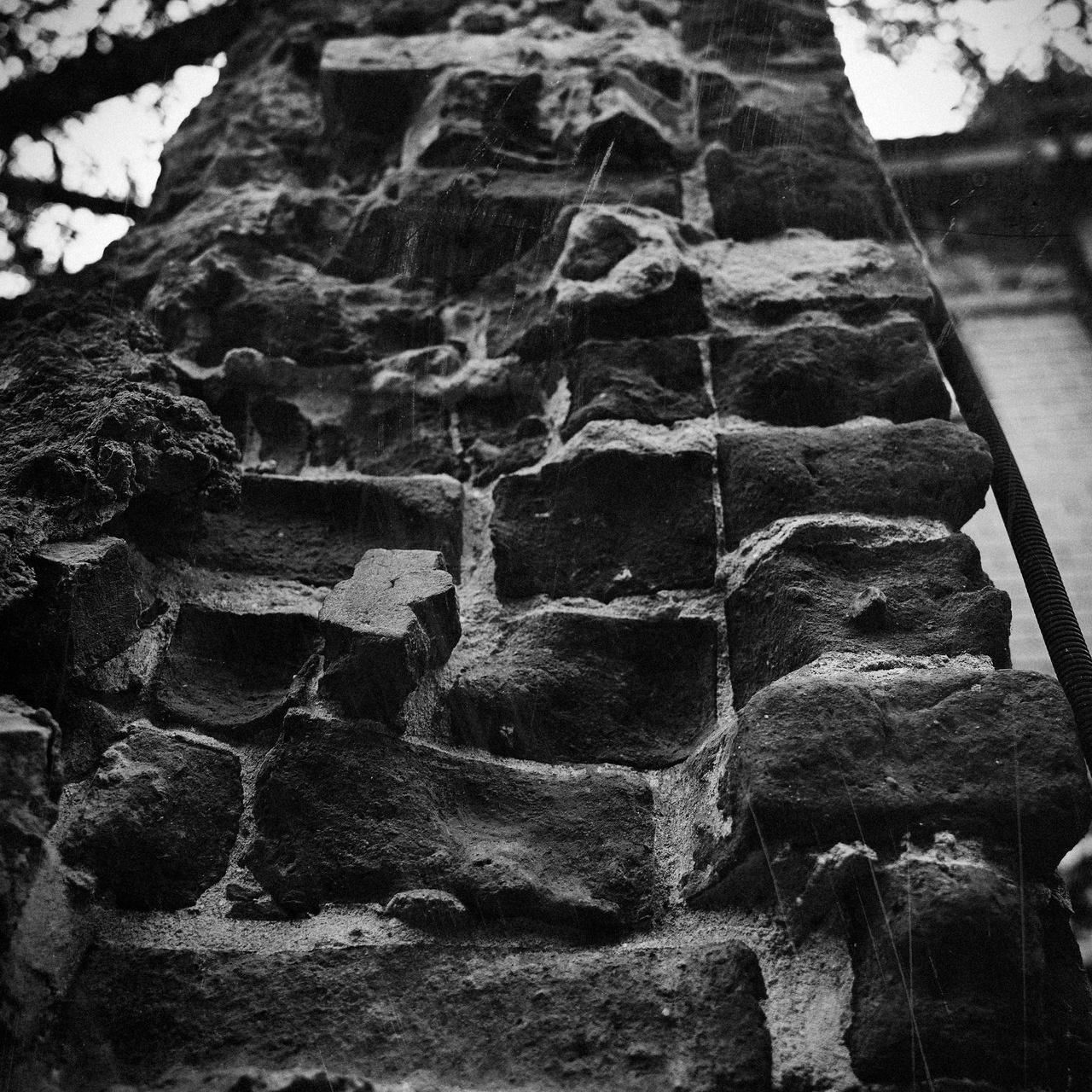 Свадебный фотограф в Туле — отзывы