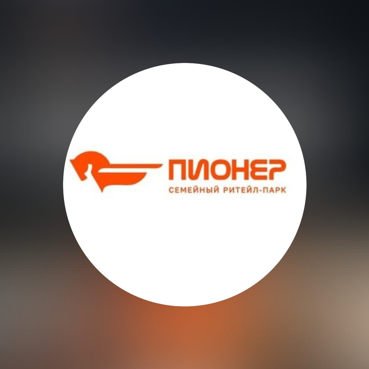 Торгово0развлекательный центр Пионер