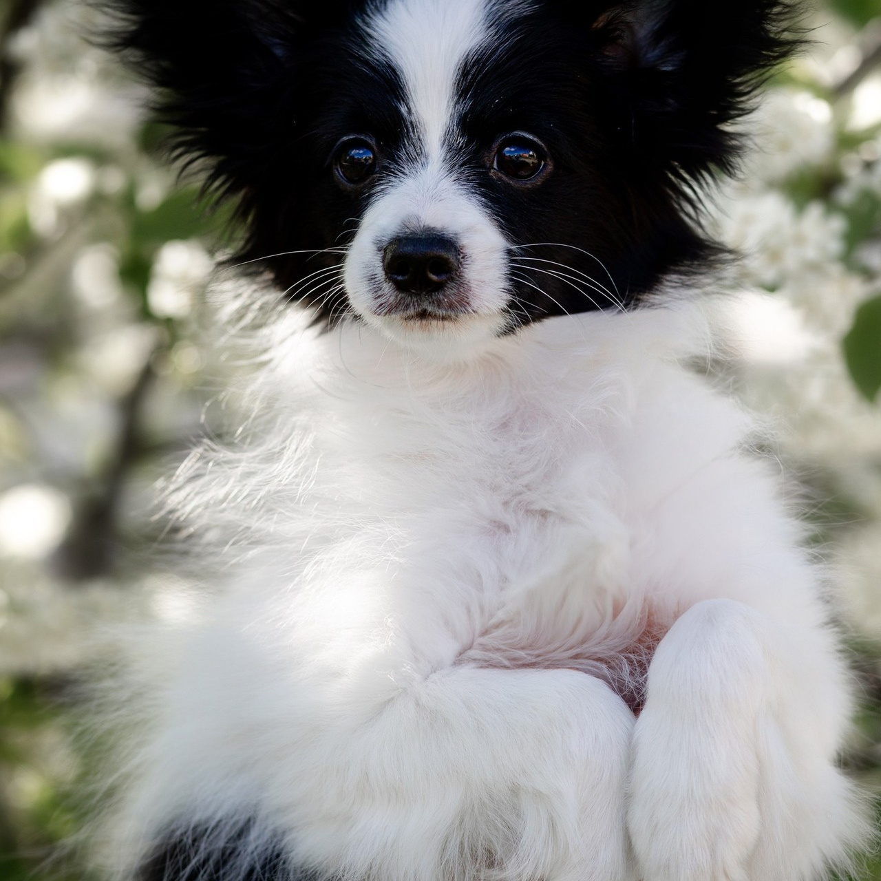 ОТЗЫВЫ. Художественный фотограф в Томске Алёна Окунева