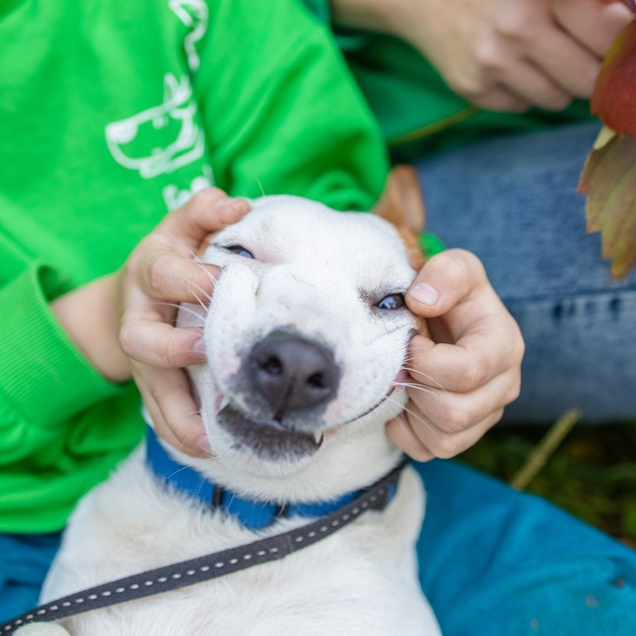 Отзывы. KATERINA VINOKUROVA ФОТОГРАФ ПЕРМЬ