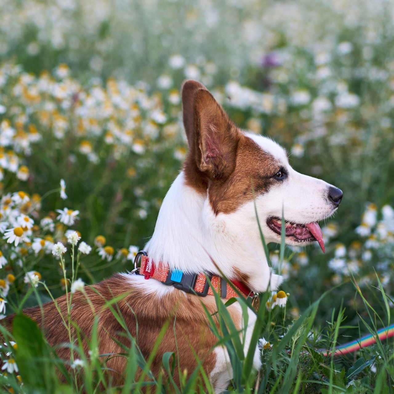 Отзывы. Фотограф в Екатеринбурге Анастасия Фе