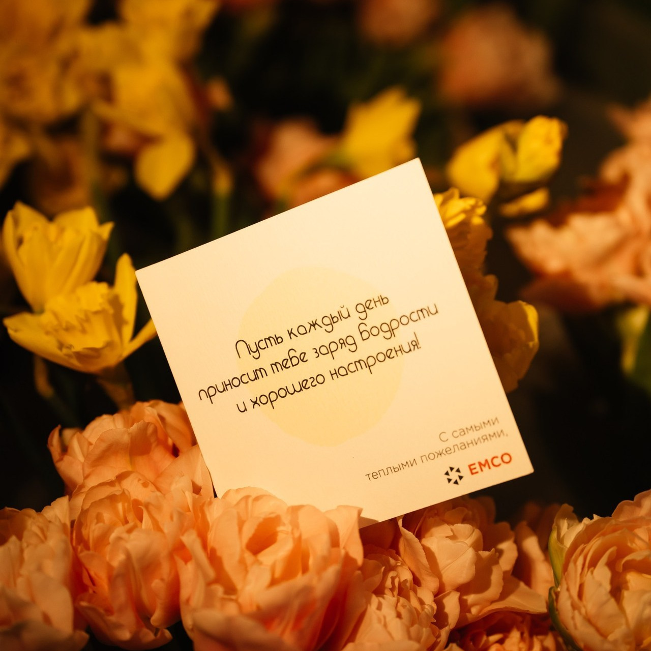 Отзывы. Марк Дробышев. Свадебный фотограф. Москва. Новосибирск