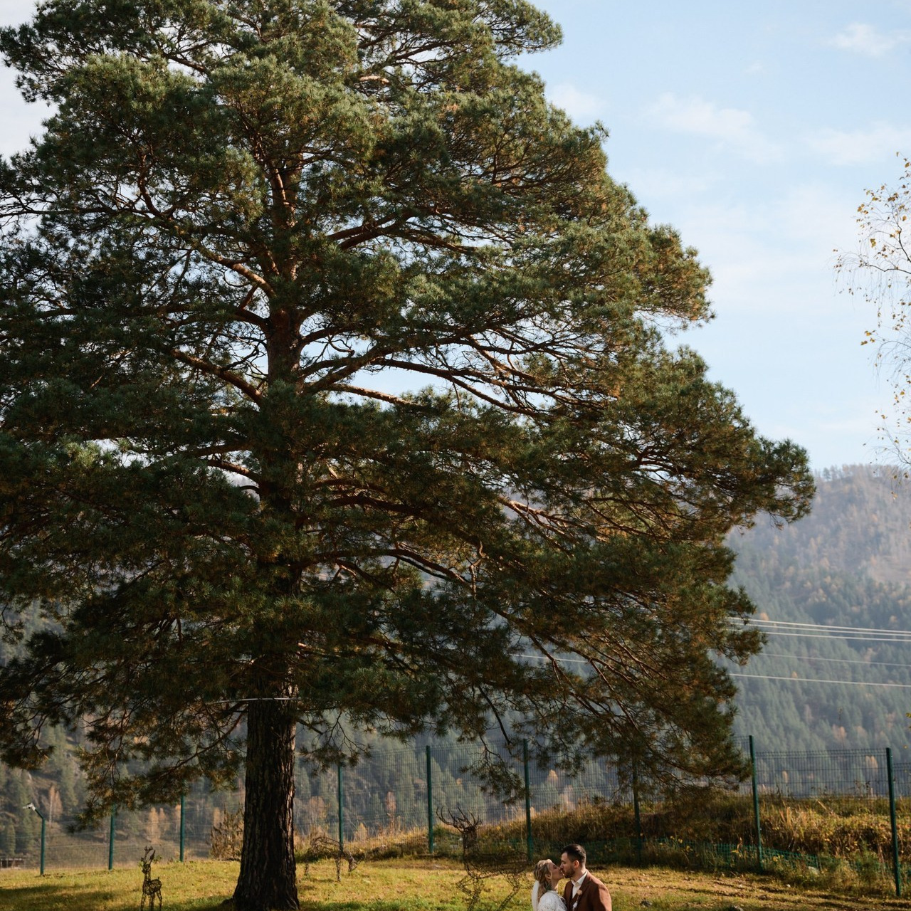 Отзывы. Марк Дробышев. Свадебный фотограф. Москва. Новосибирск