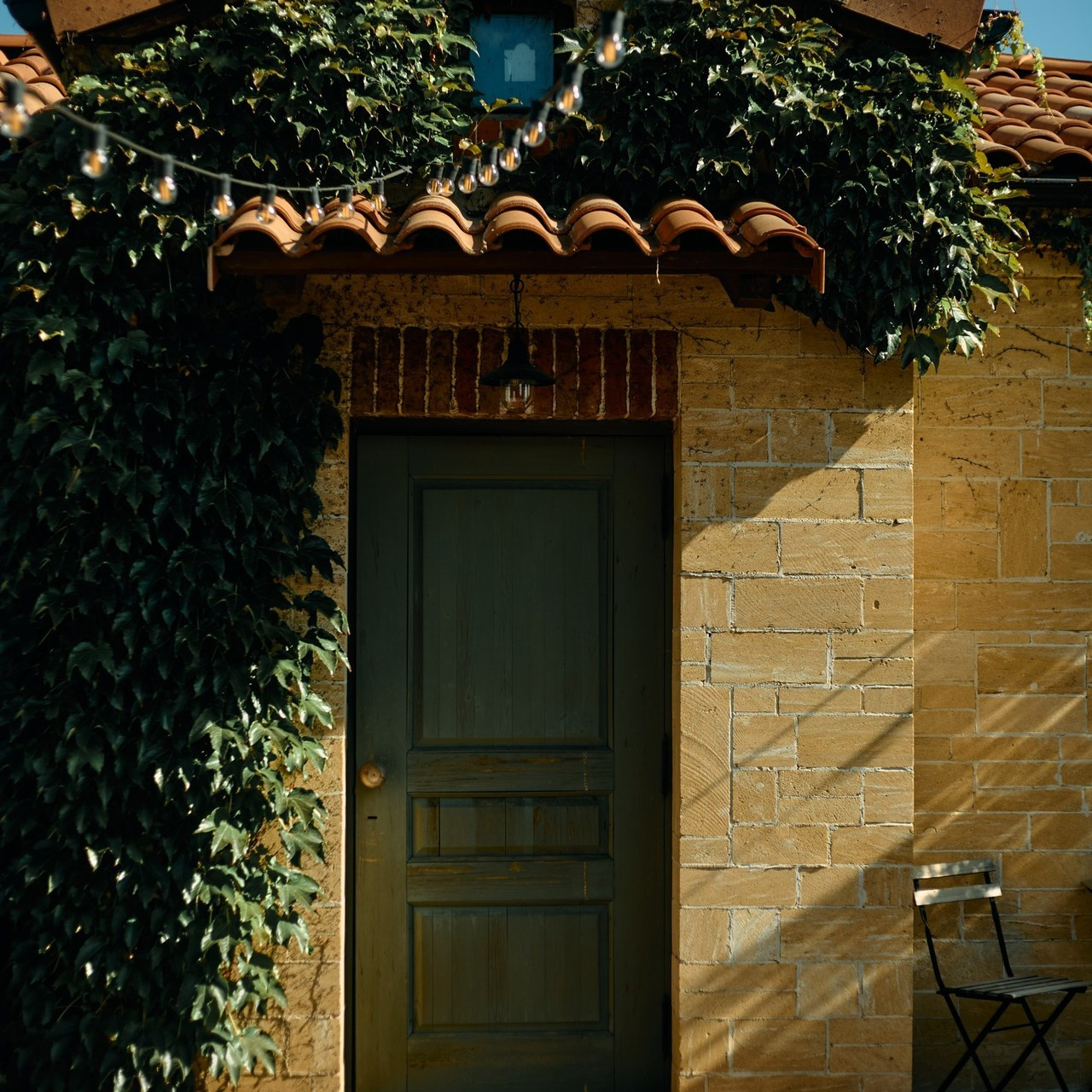 Отзывы. Екатерина Дымова. Фотограф. Автор проекта «Белый Ветер»