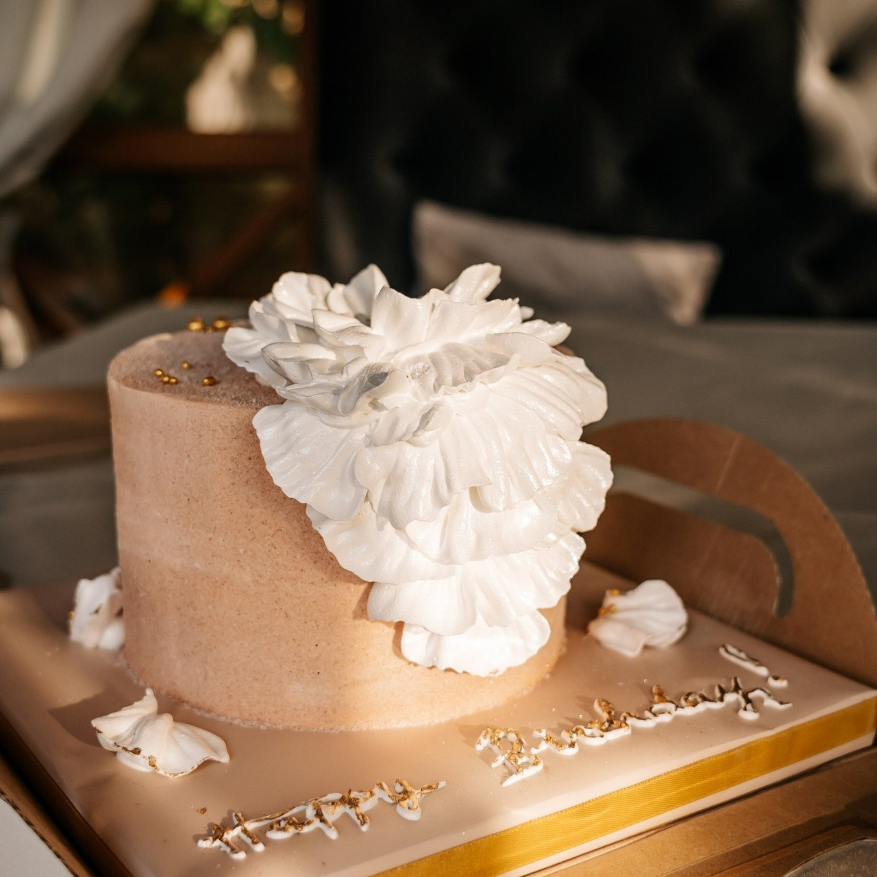 Отзывы. Репортажный фотограф в Крыму Ксения Гасица