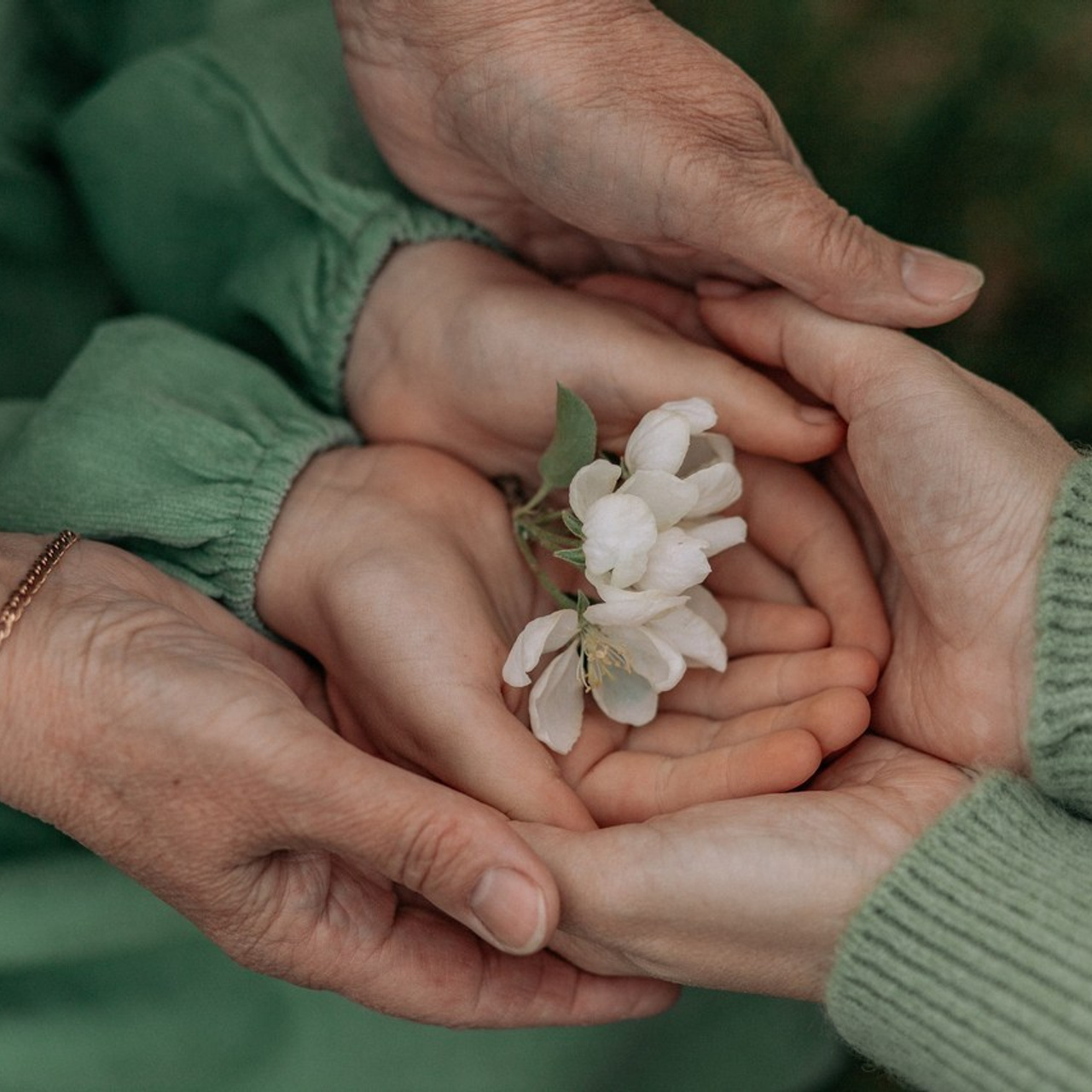 Отзывы. Детский и семейный фотограф в Красноярске Юлия Бирюкова