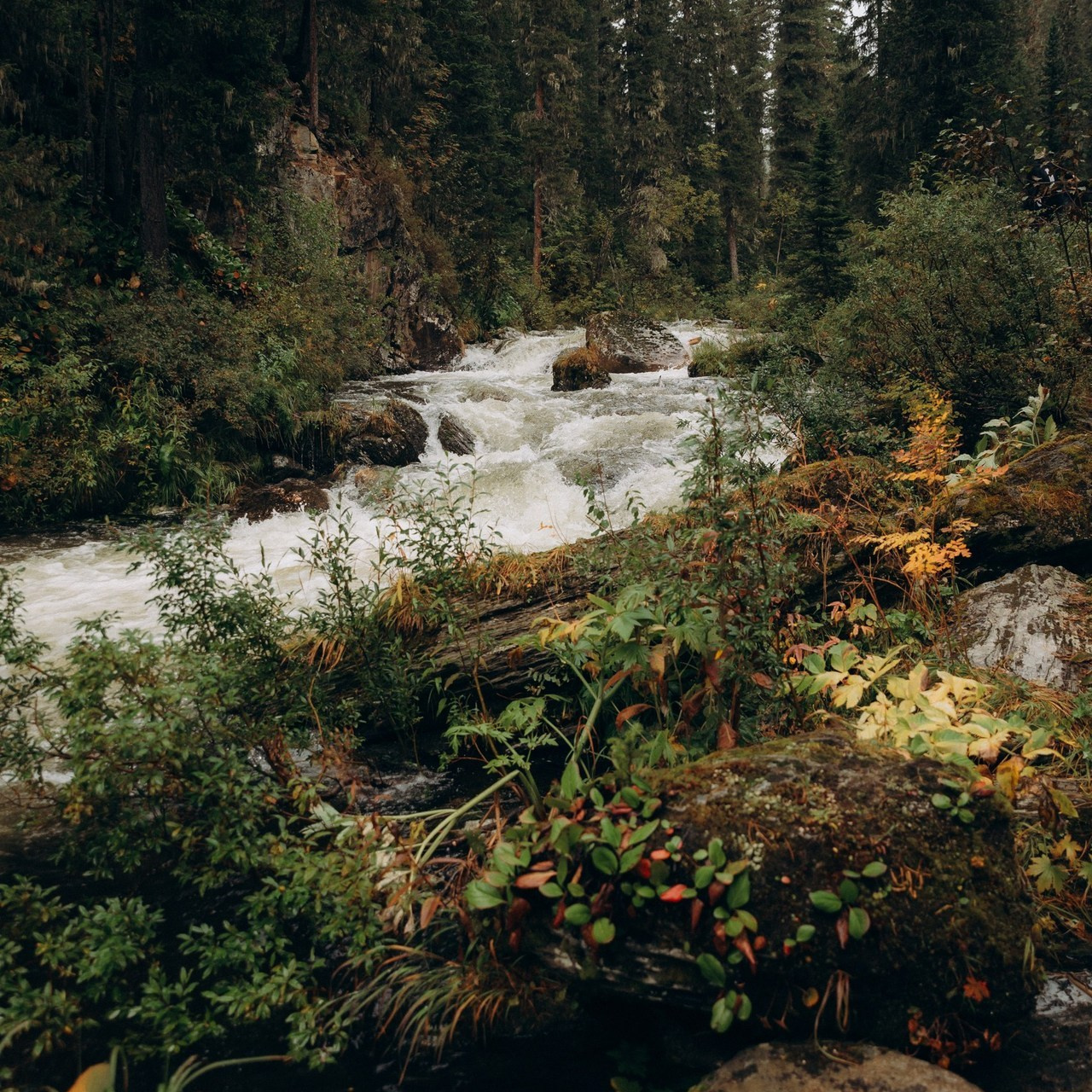 Отзывы. Детский и семейный фотограф в Красноярске Юлия Бирюкова