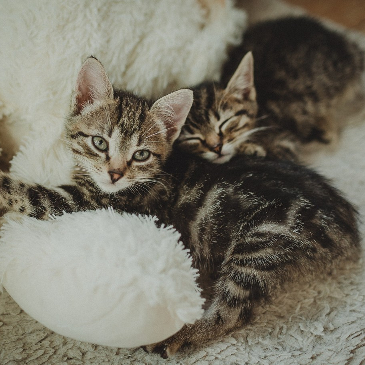 Отзывы. Семейный домашний фотограф Москва Зеленоград Настя Маркова