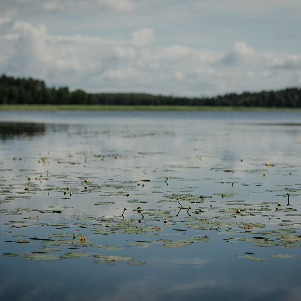 Отзывы. Семейный домашний фотограф Москва Зеленоград Настя Маркова