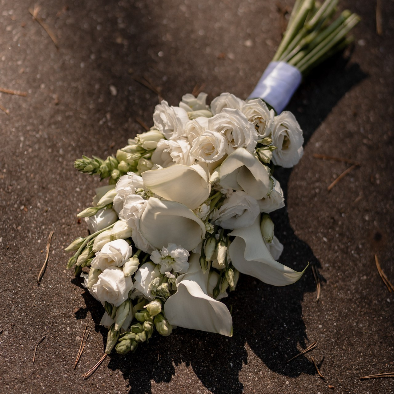 Отзывы свадебного фотографа Полоцк, Новополоцк, Витебск, Минск Елены Л. Свадебный фотограф Елена Ловцевич