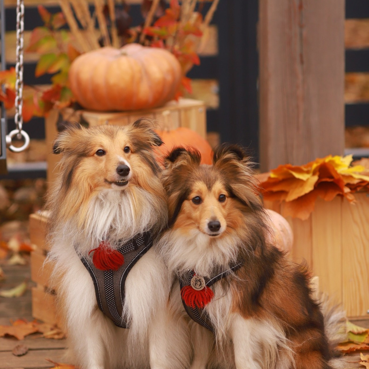 Отзывы. Женский и семейный фотограф в Санкт-Петербурге Любовь Малышева