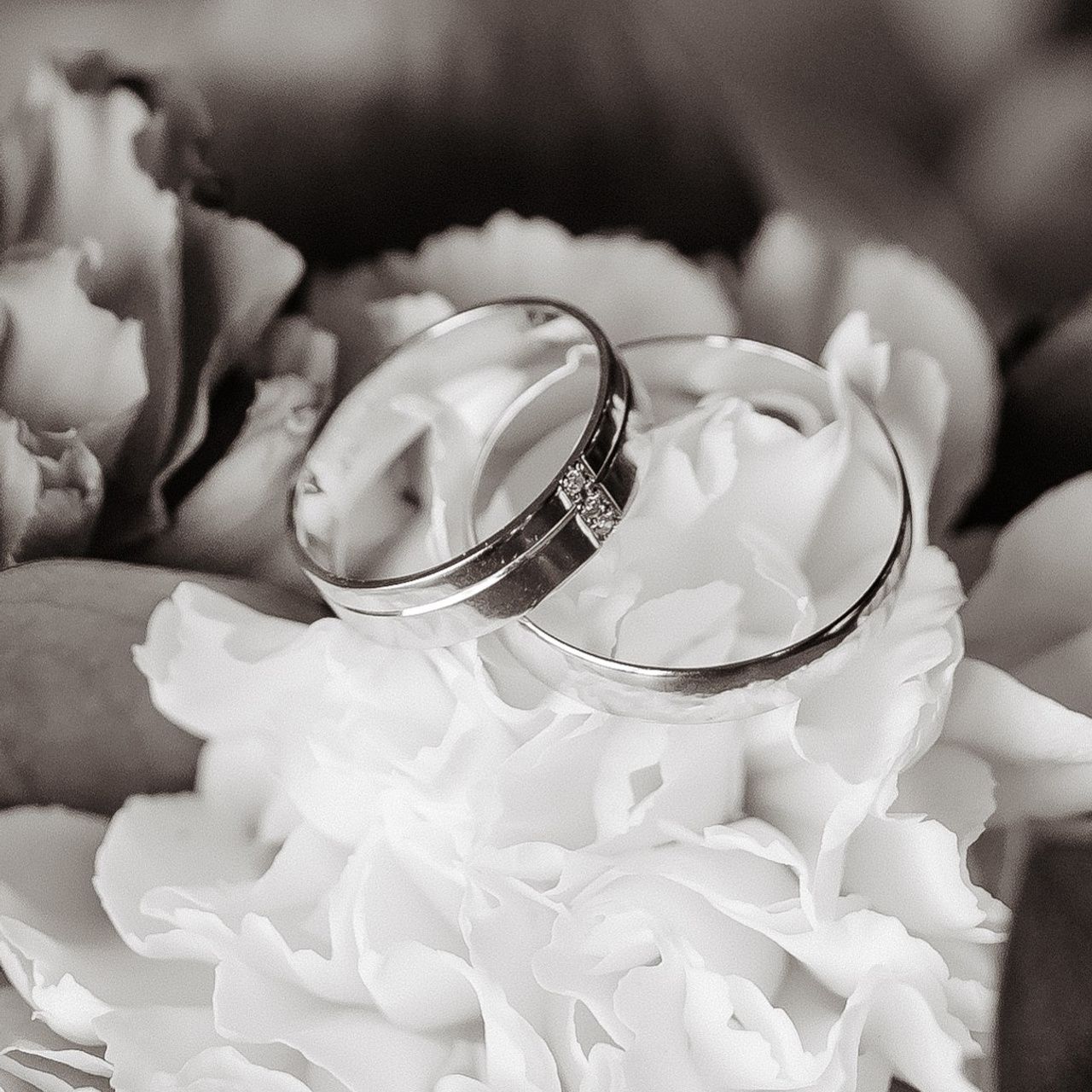 ОТЗЫВЫ. Свадебный и семейный фотограф в Нижнекамске, Набережных Челнах